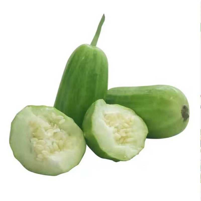 天津本地新鲜菜瓜5斤 京东或顺丰包邮