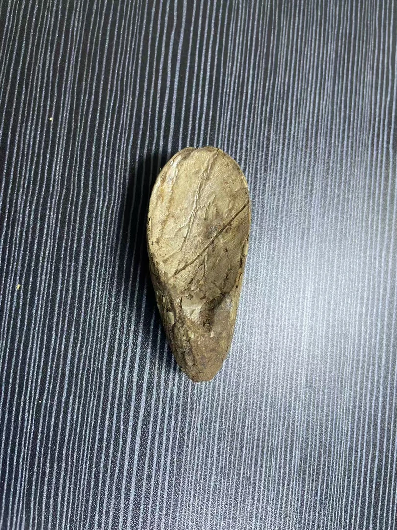 精品千眼菩提异性果工艺手工素款