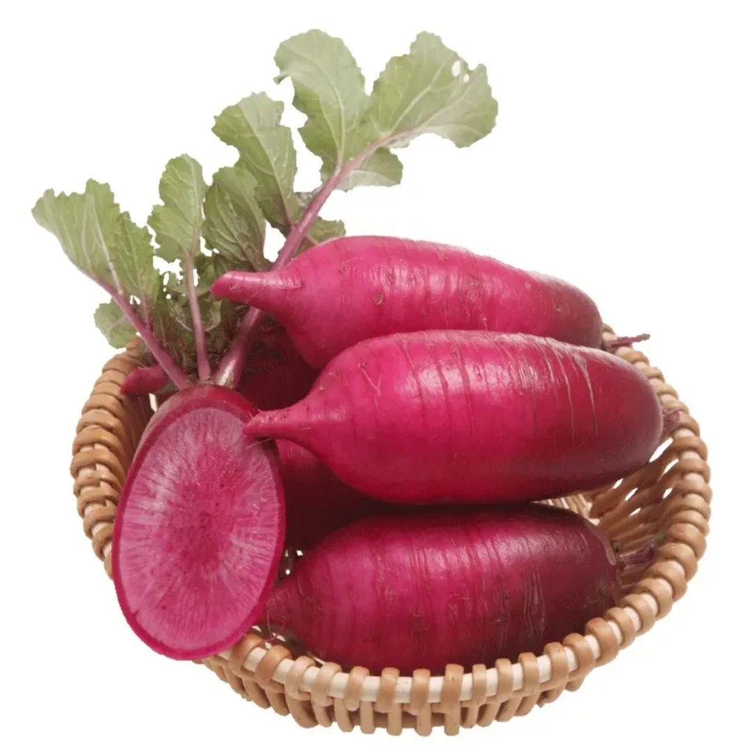 【全店满5元包邮】凤梨萝卜种籽萝卜种子