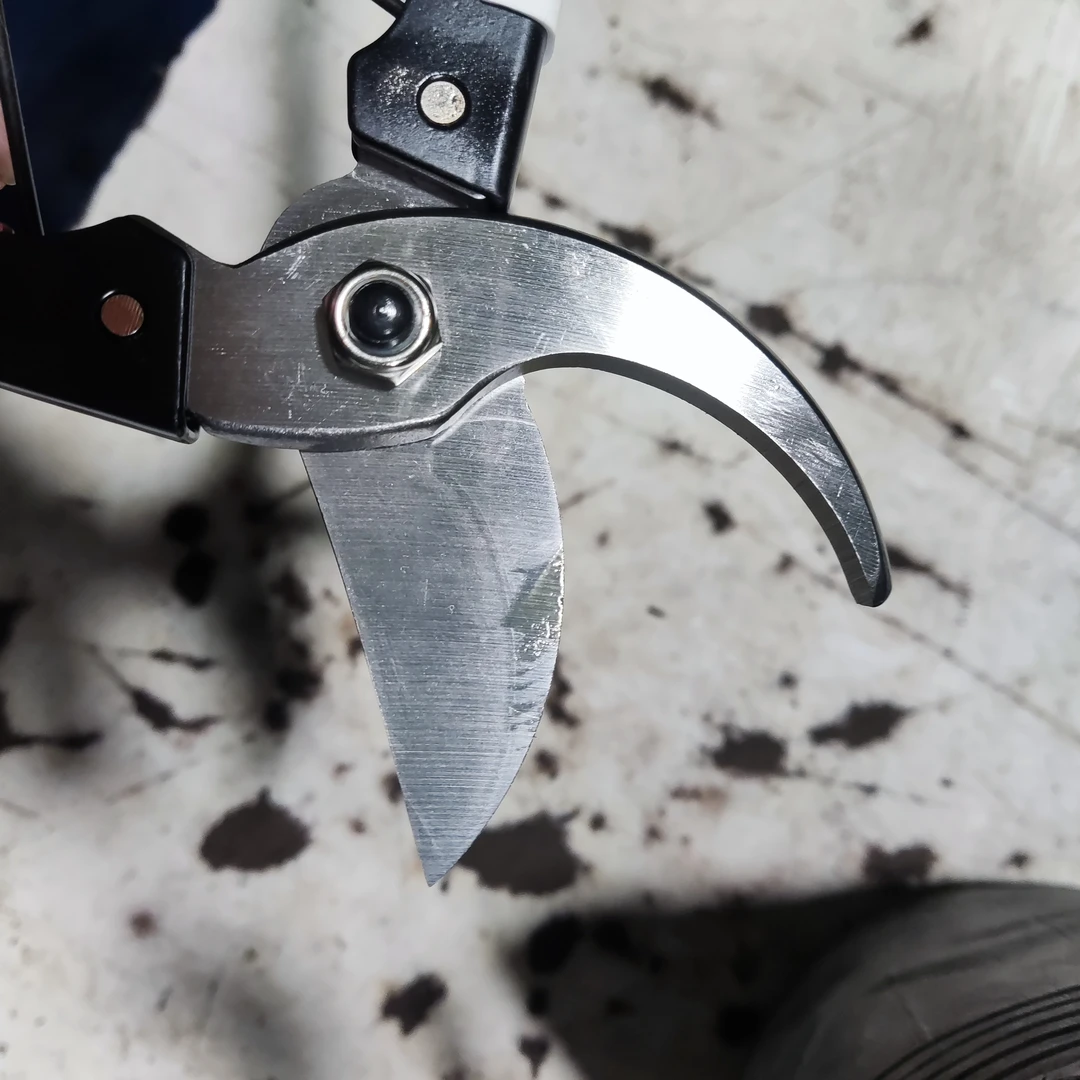 修花剪树枝专用花艺花卉枝剪子剪枝园林工具花剪修剪刀树剪家用