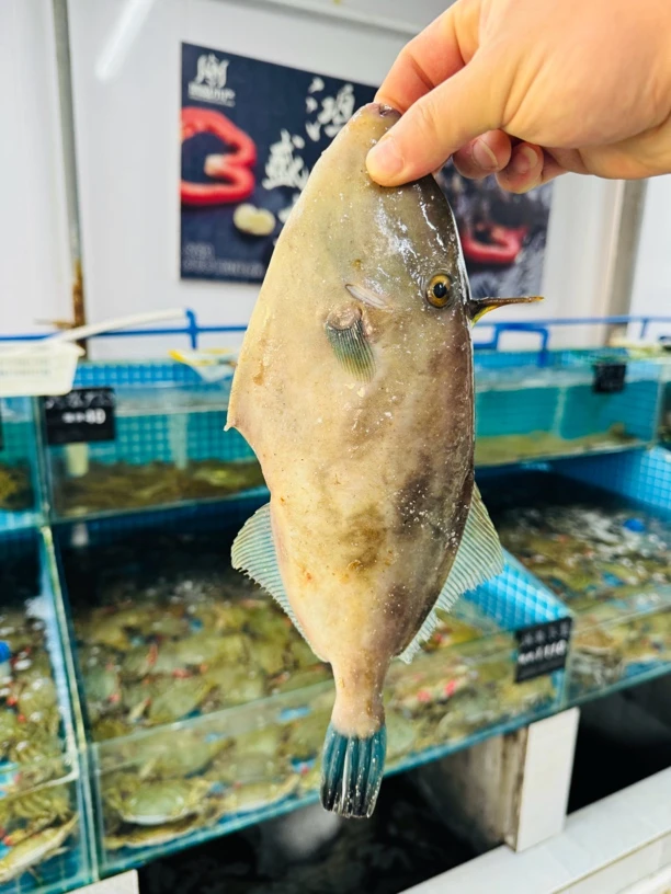 福利品鱼虾蟹 现场称重 看清听清楚在拍 【本品直播现场称重】