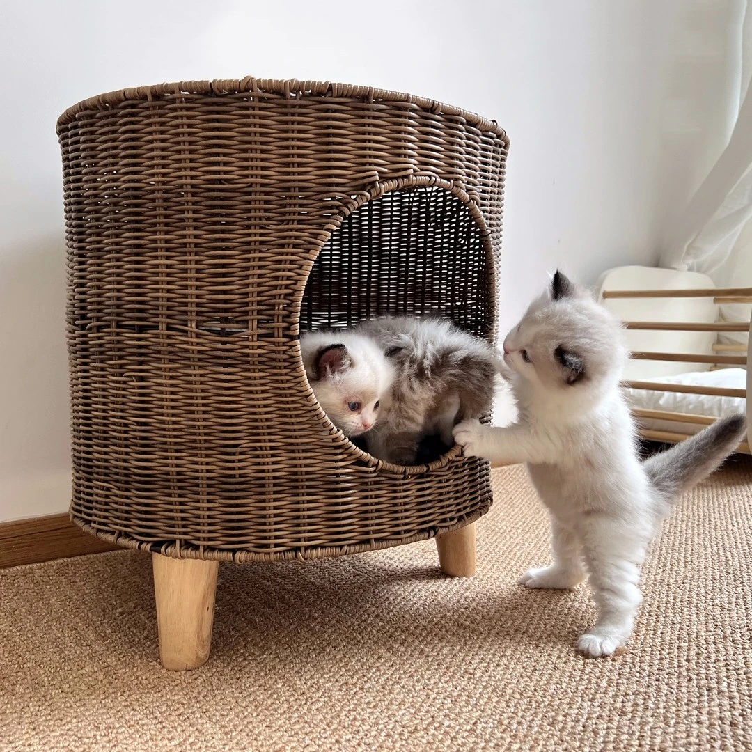 猫窝藤编夏季透气宠物窝防潮半封闭猫咪窝猫笼猫咪用品四季通用