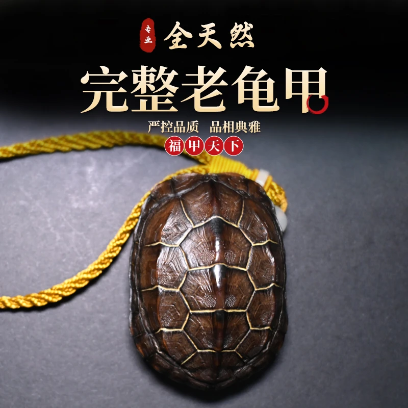 【一物一拍】真龟壳龟甲手把件文玩盘玩把玩件纯手工个性创意富甲壳