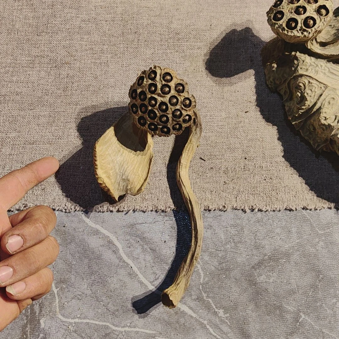 【闪购商品】木根雕