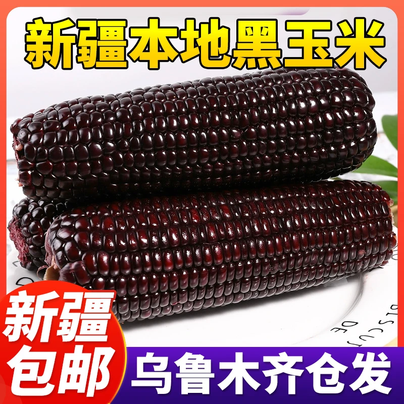 新疆包邮黑糯玉米棒玉米新鲜白甜糯玉米粘黏真空大棒东北糯玉米