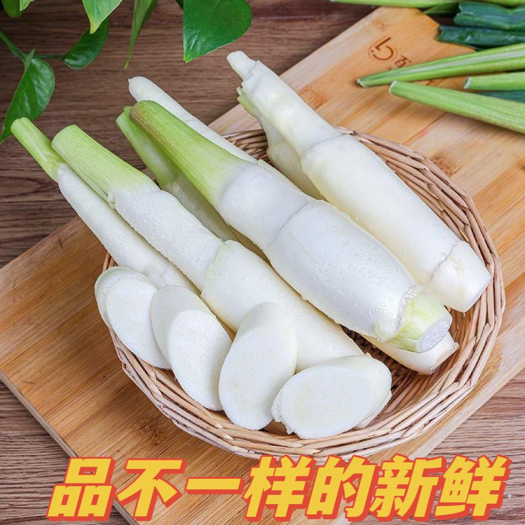 贵州天眼茭白清甜可口现摘现发顺丰包邮