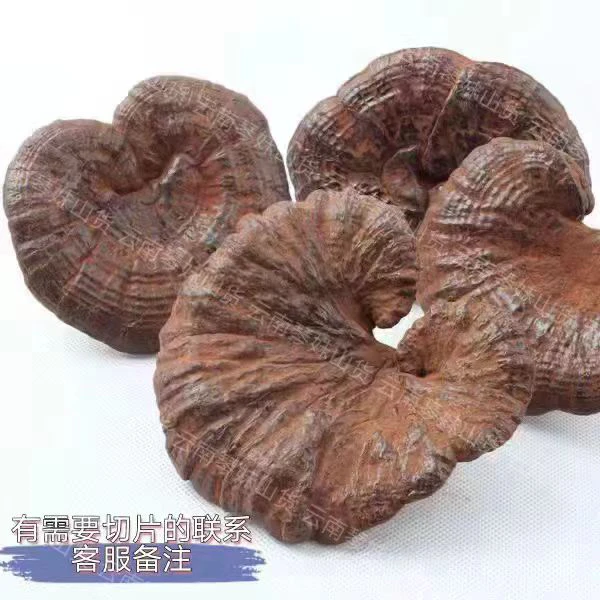 【琴妹推荐】①黑~灵~之农产品
