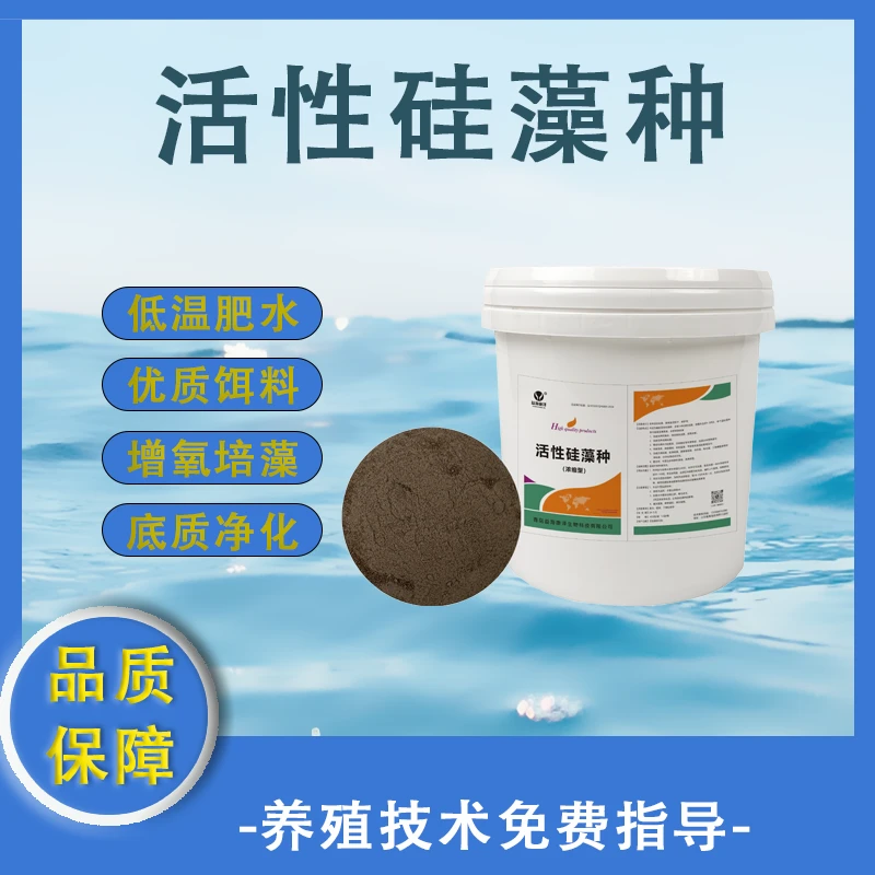 活性硅藻种水产养殖鱼虾蟹肥水培藻