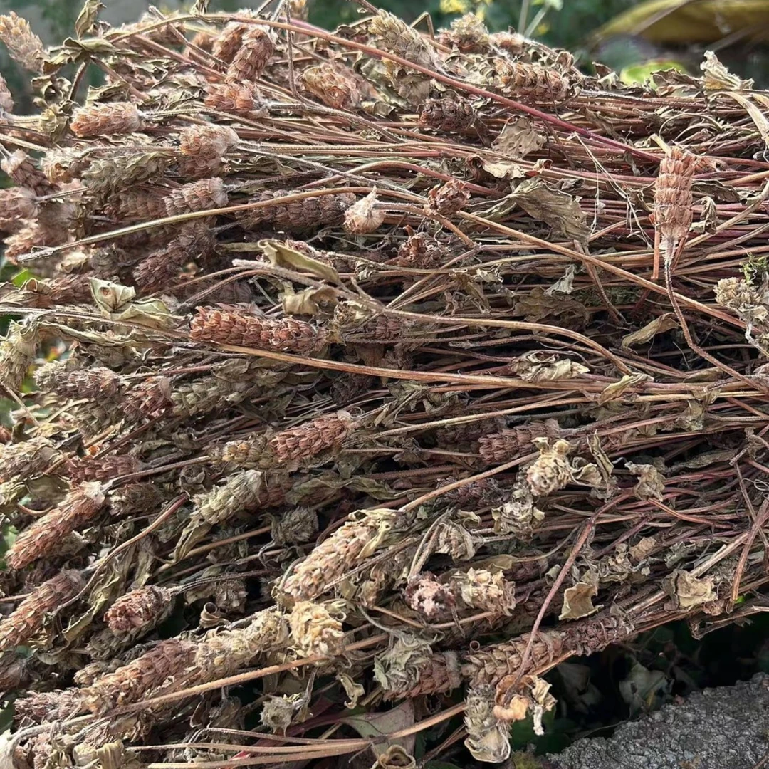 【苗三哥】贵州深山农特产品野夏枯草500g 包邮