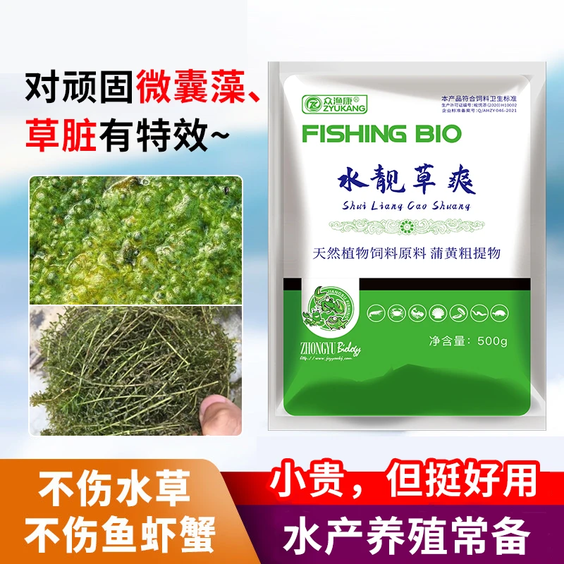 众渔康水靓草爽 鱼虾蟹塘通用 处理蓝藻 抑制蓝藻水产养殖氨基