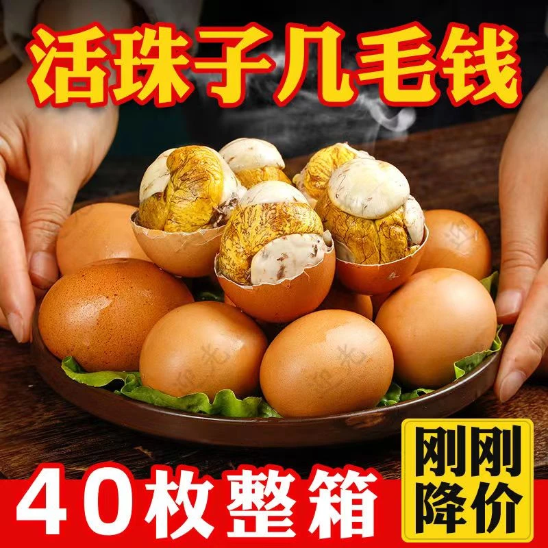 捉星香辣钢化蛋五香活珠子（13天）鸡胚蛋喜蛋非毛鸡蛋旺蛋真空包装