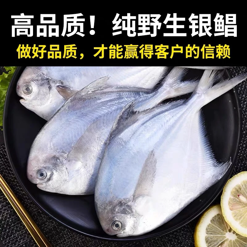 日照野生海捕银鲳鱼5斤(一斤7条左右)