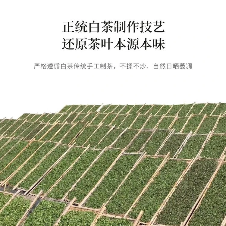 【野木粉丝福利】2019春寿眉散茶春季日晒白茶福鼎白茶