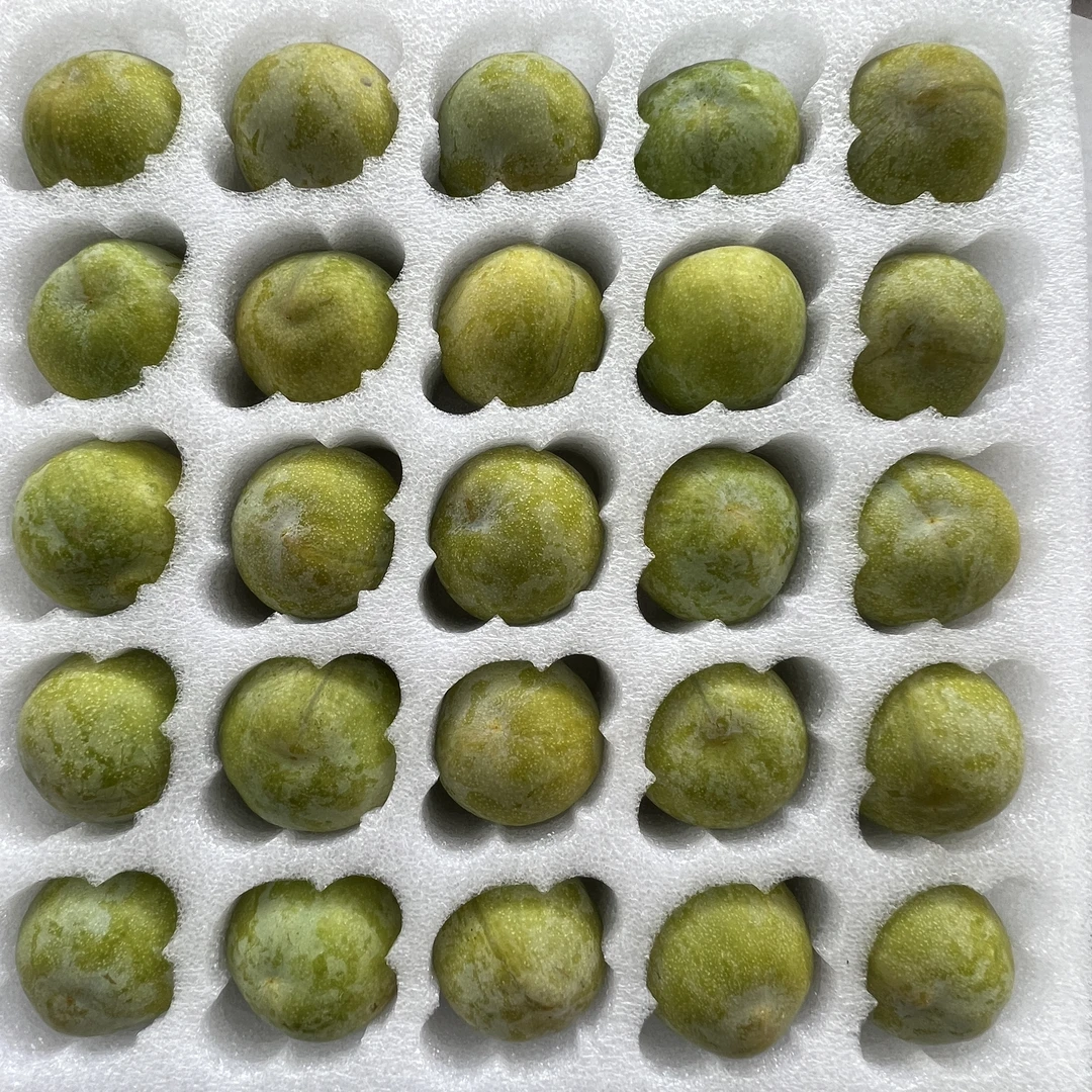 【顺丰礼盒装】正宗重庆脱骨李子青脆李新鲜水果脆甜爽口5斤包邮