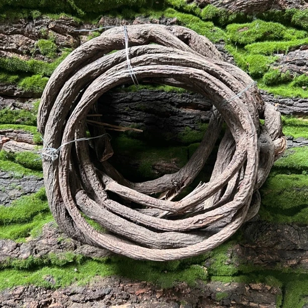 树藤枯藤红山藤管道深山藤条葡萄叶藤蔓老藤树枝干假植物婚庆装饰