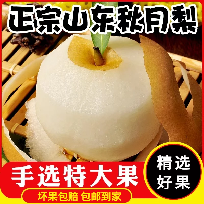 正宗山东秋月梨礼盒应季新鲜脆甜水果食用农产品非鸭梨特大果