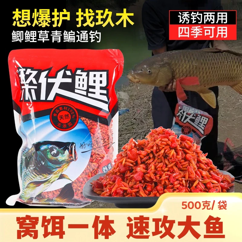 玖木伏鲤500克垂钓谷麦打窝料专攻鲤鱼饵钓饵饵料诱食传统钓窝料