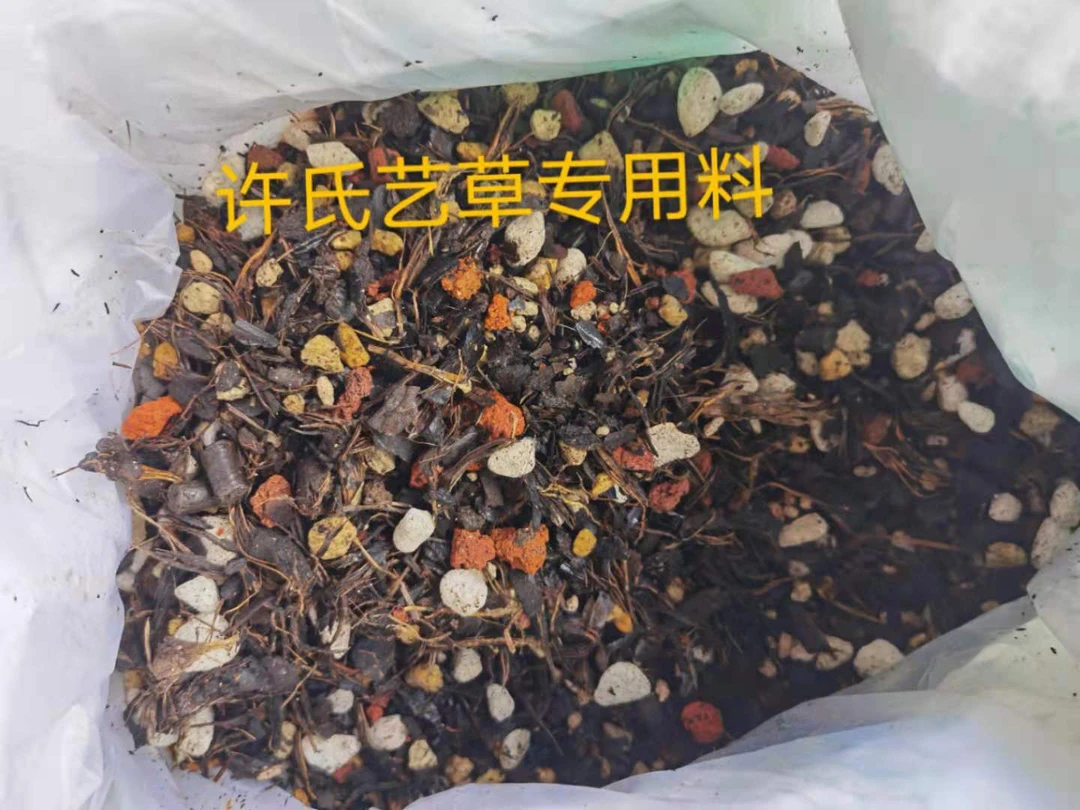 许氏兰植艺草色花专用料