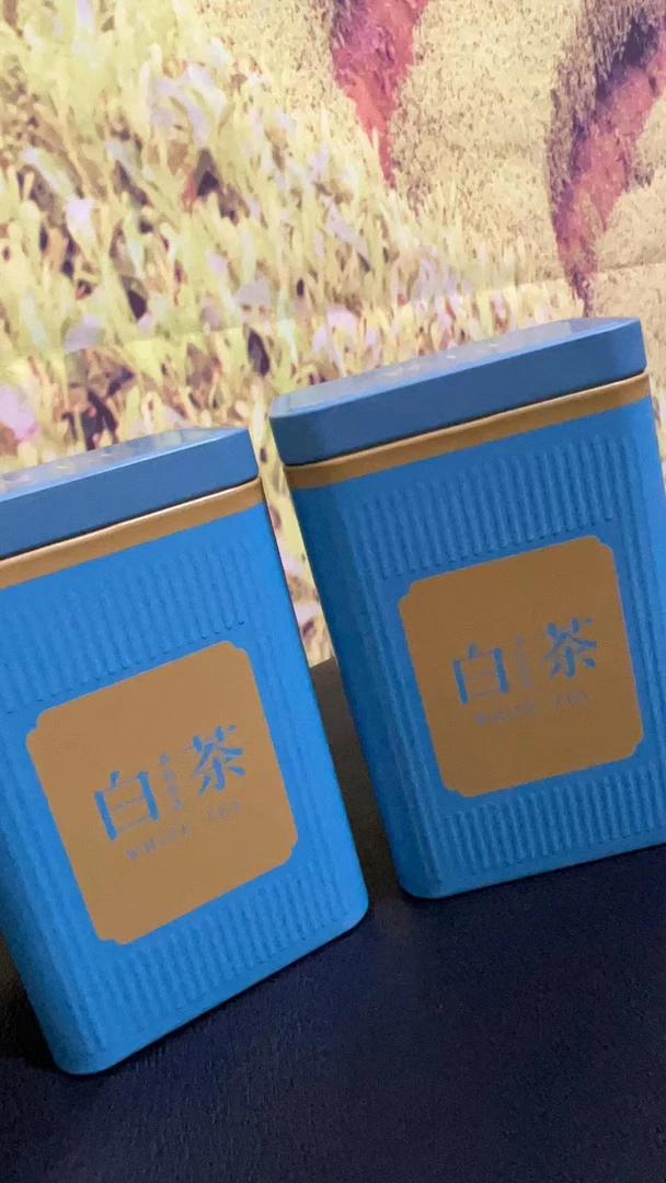 9.9  高山白茶绿茶福利款买一罐送一罐到手总共两罐