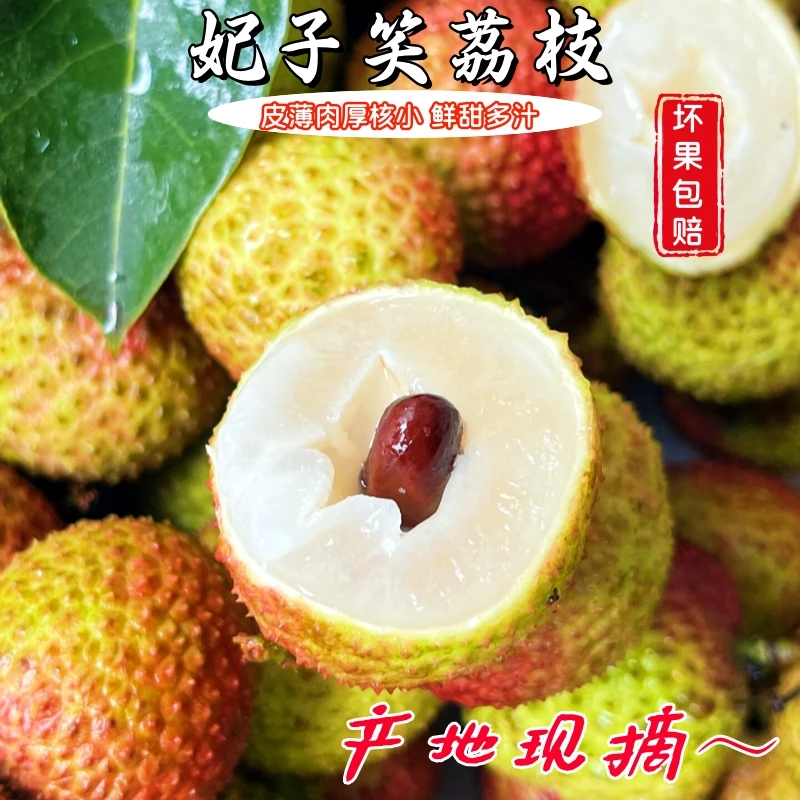 空运新鲜应当季妃子笑荔枝3/5斤 肉厚皮薄香甜多汁水果园采摘现发