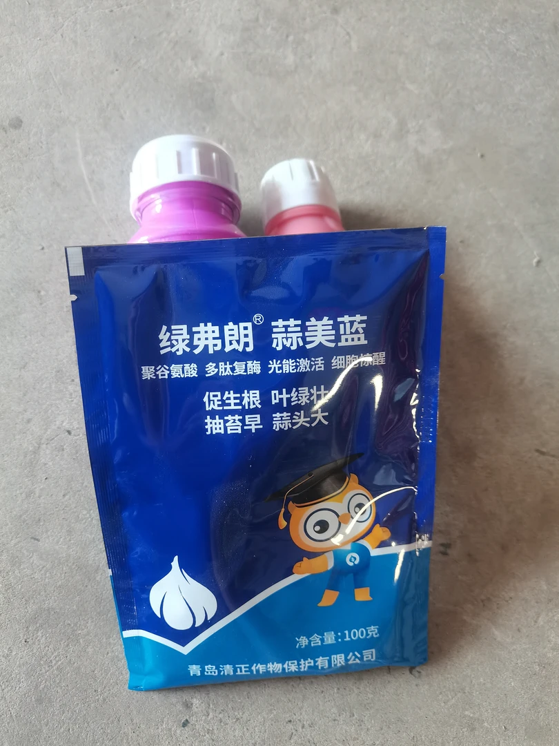 促生根，抽苔早，叶片绿，蒜头大