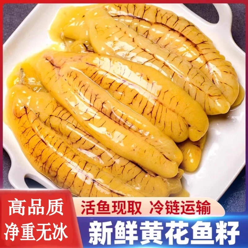 黄花鱼籽新鲜超大鱼泡鱼子鱼肚鱼白鱼膘鱼杂鲜活海鲜鱼籽冷冻