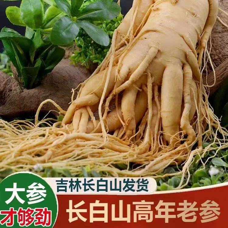 长白山丰富保鲜人参大人参非野山参泡酒送鹿片鹿茸片灵芝片红枸杞