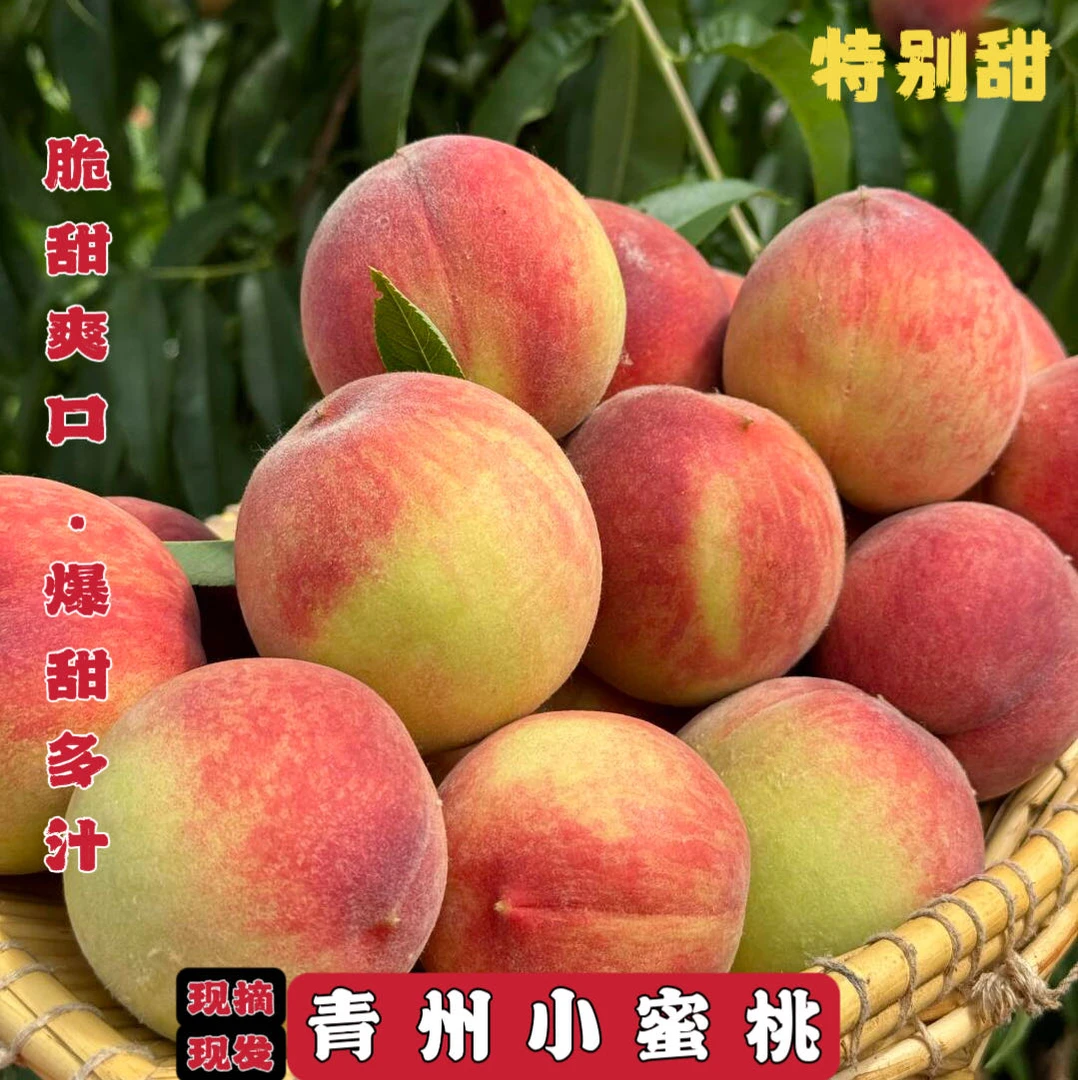 【现摘现发】山东青州蜜桃带箱5斤脆甜爽口爆甜多汁蜜香味浓郁