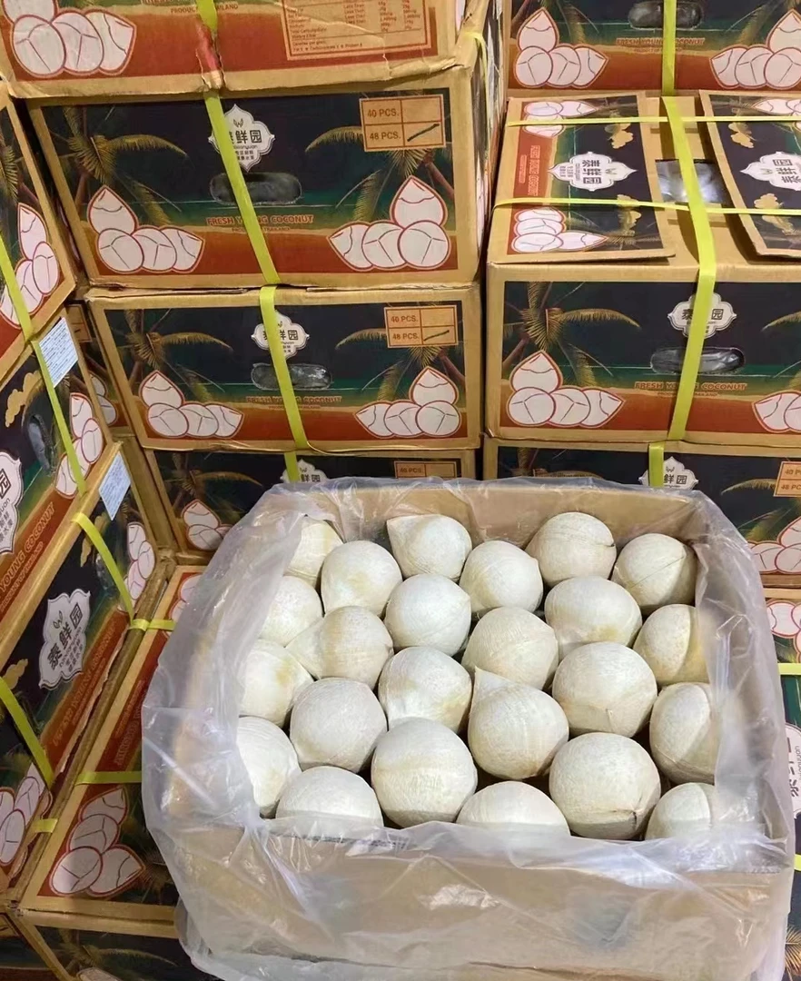 【京东顺丰空运包邮】三亚小奶椰牛奶香椰精选10个装