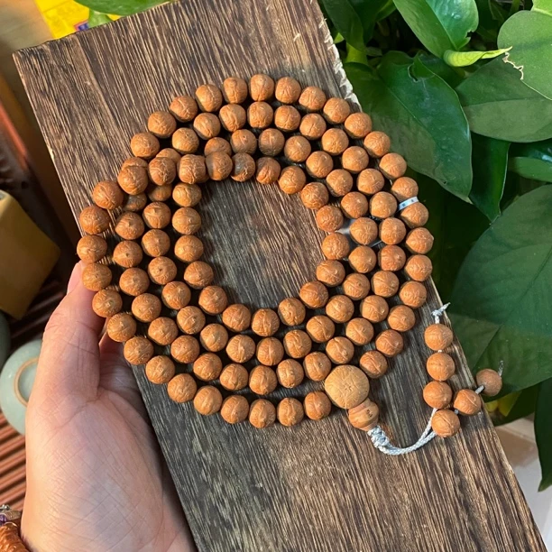 尼泊尔精品小凤眼尺寸10.5mm