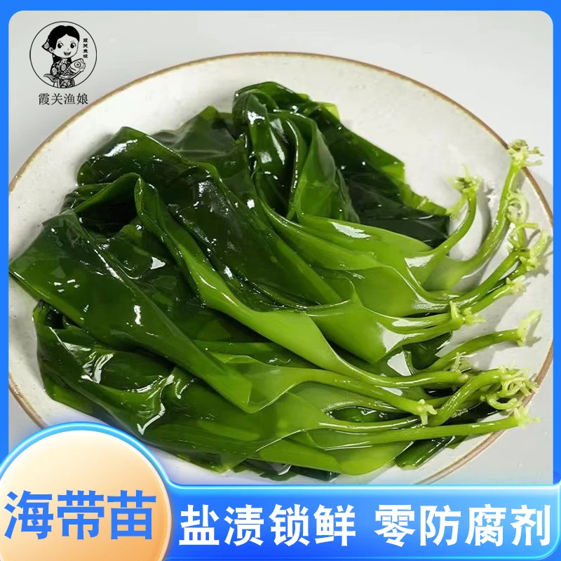 霞关渔娘【达人专属】优质鲜嫩海带【500克*1包】