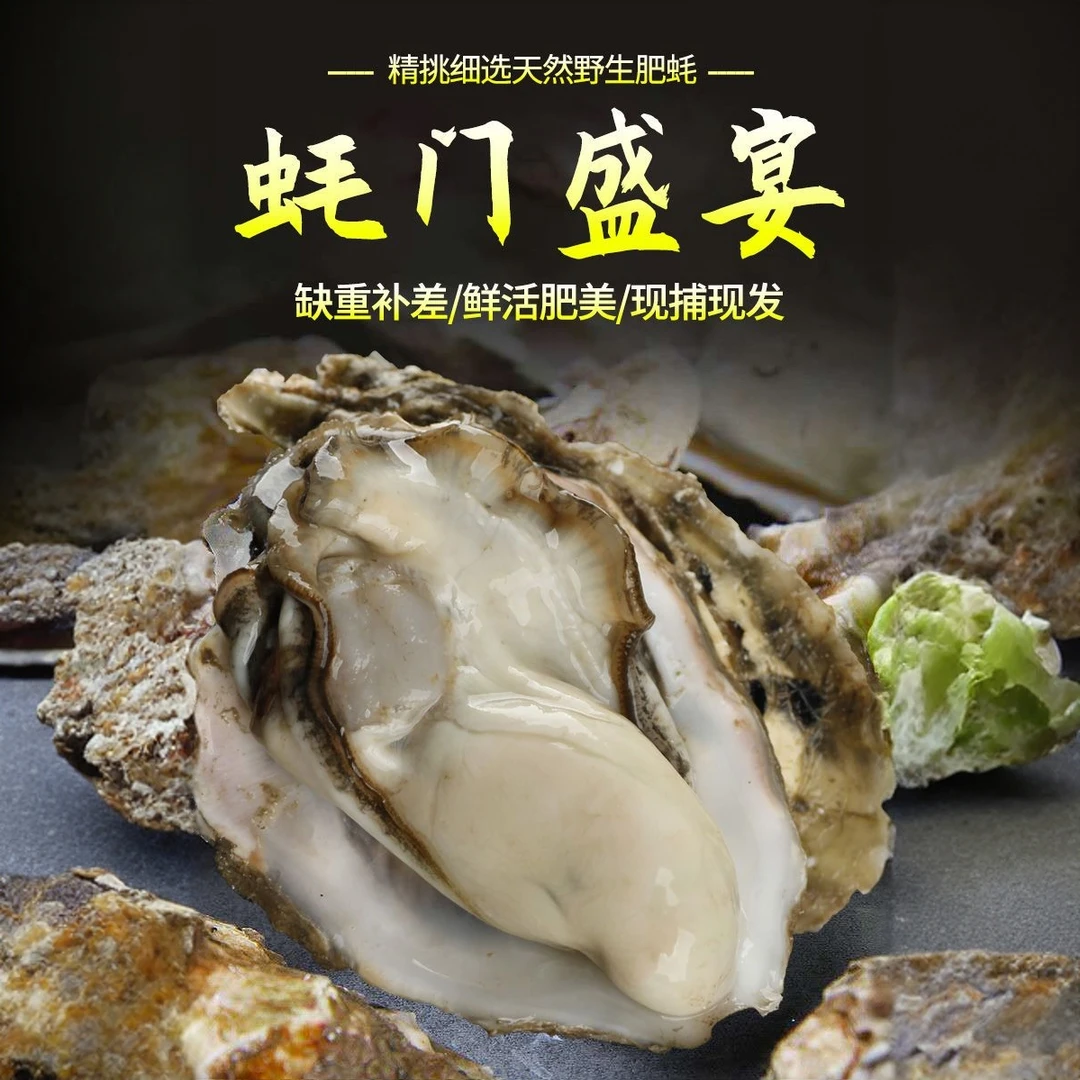 霞关生蚝规格2+现采活蚝发货无净化无泡水2500克5斤