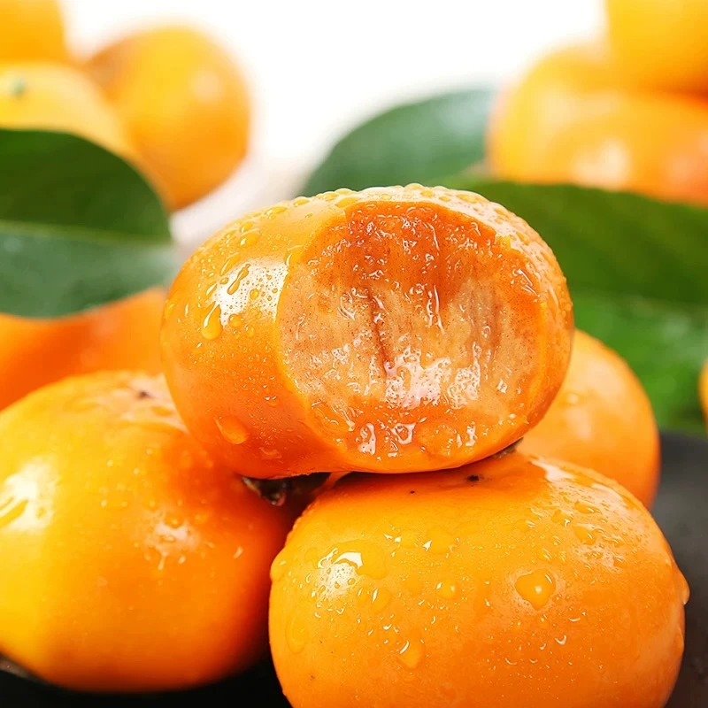 （纯甜无酸）阳丰巧克力脆柿脆甜爽口无籽无核果园直发