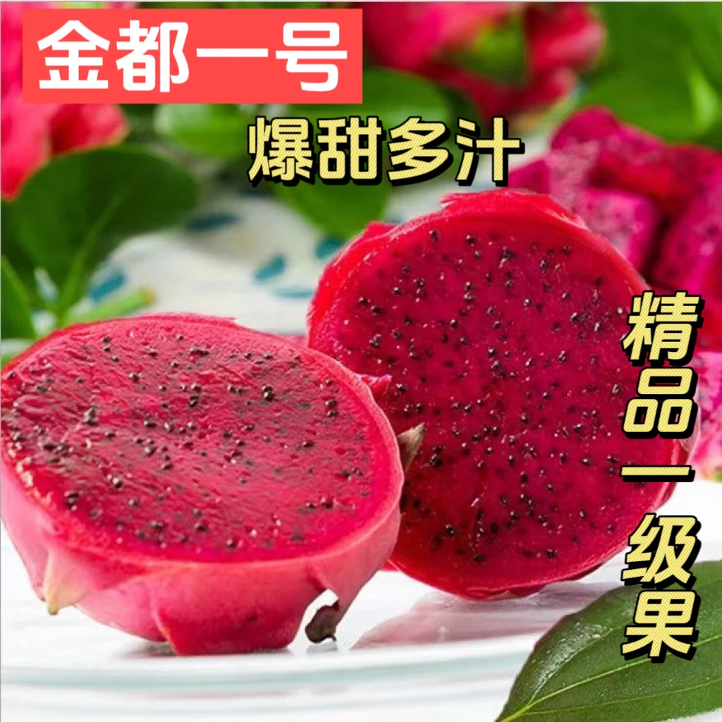 【新店福利】金都一号产地批发红心火龙果老人孕妇新鲜3/5斤爆甜