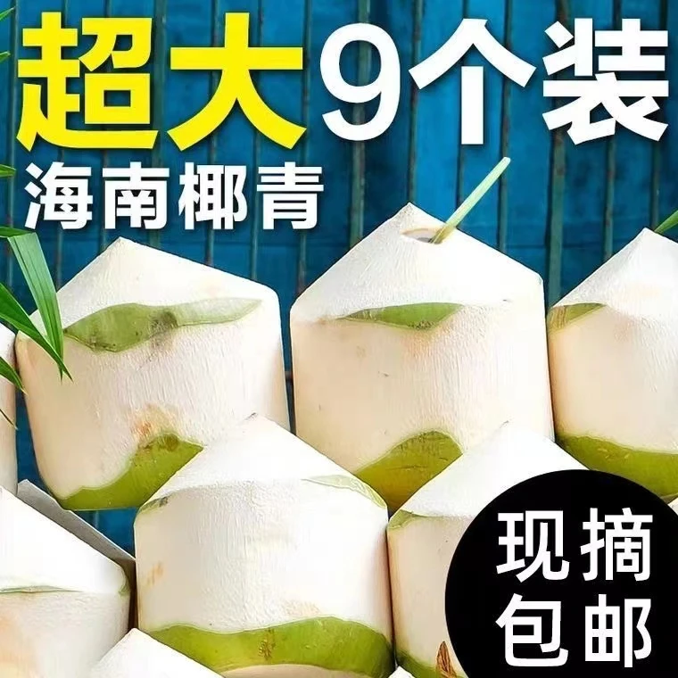 海南特产新鲜椰子椰青9个装新鲜青甜孕妇水果甘甜鲜甜营养青椰