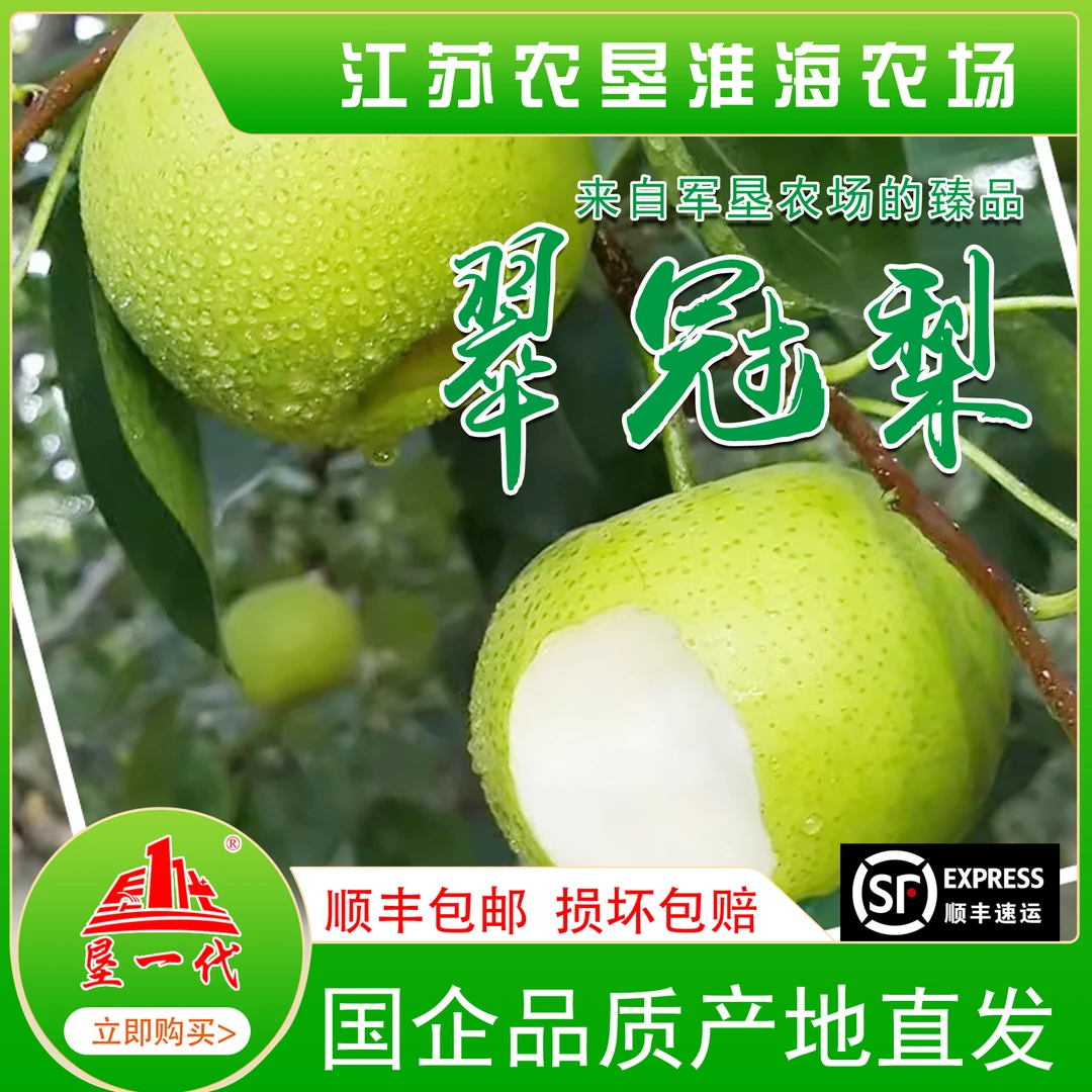 果园现摘现发精品翠冠梨