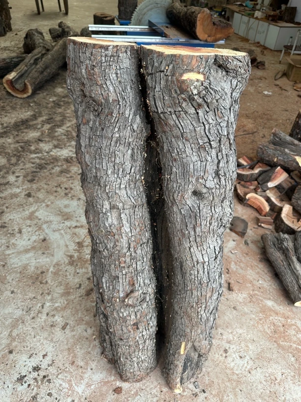 雷击枣木原木木墩木方