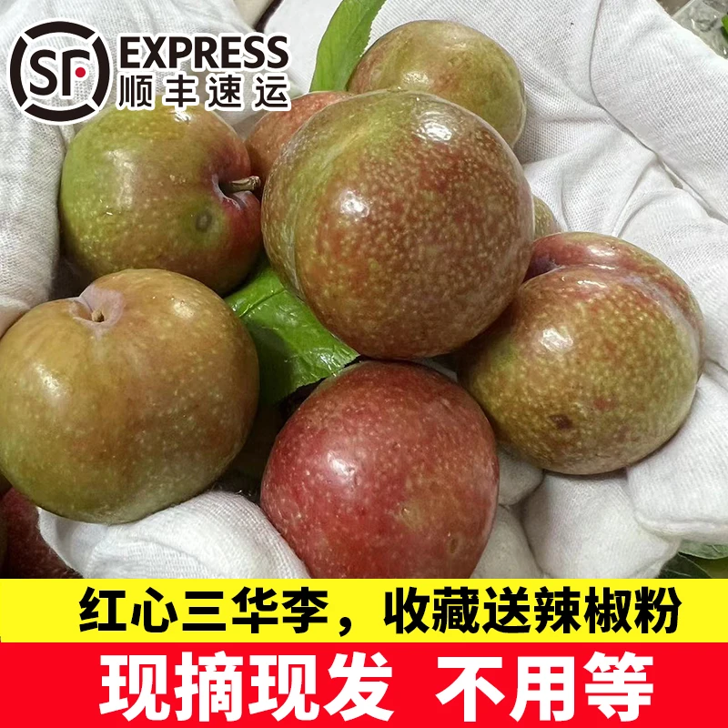 【现货顺丰】广东省信宜钱排三华李红心李爽脆李子新鲜当季应季水果
