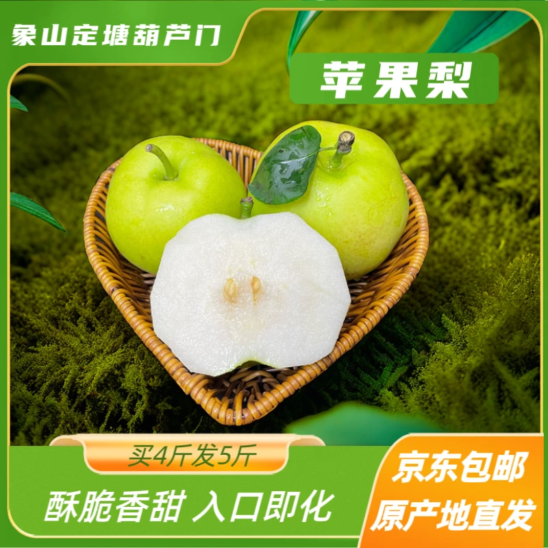 苹果梨4斤送1斤发5斤 酥脆香甜饱满多汁入口即化核小无渣细腻皮薄