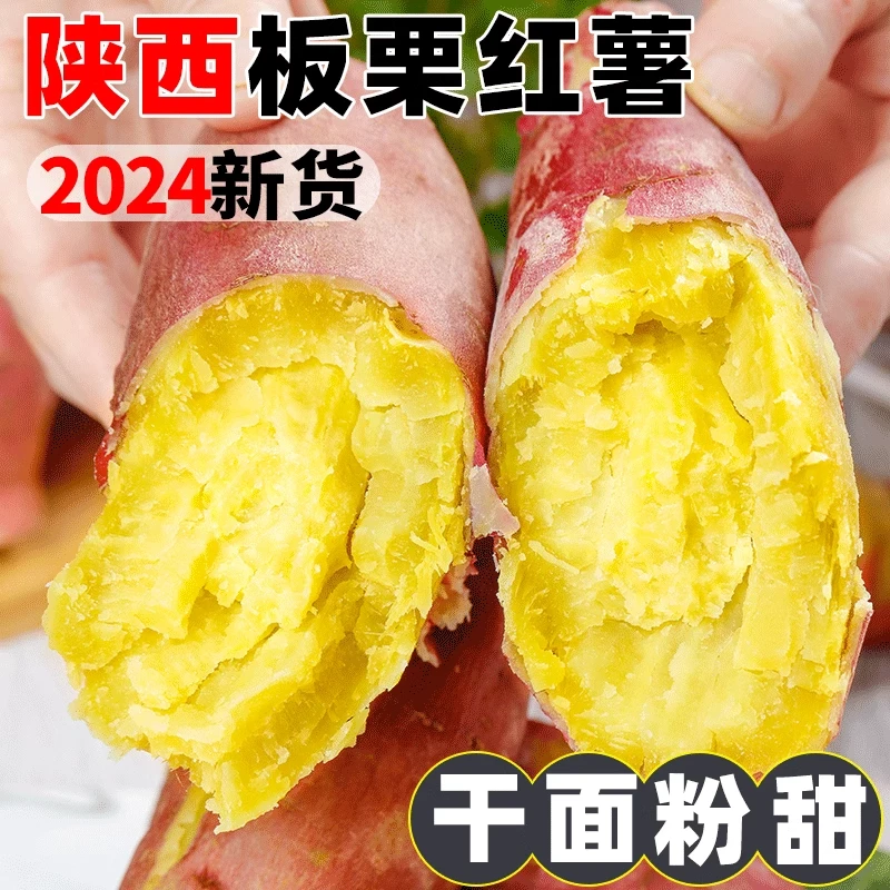 陕西沙地板栗红薯5斤产地直发干面粉甜烤地瓜番薯蜜薯粗粮香甜3斤