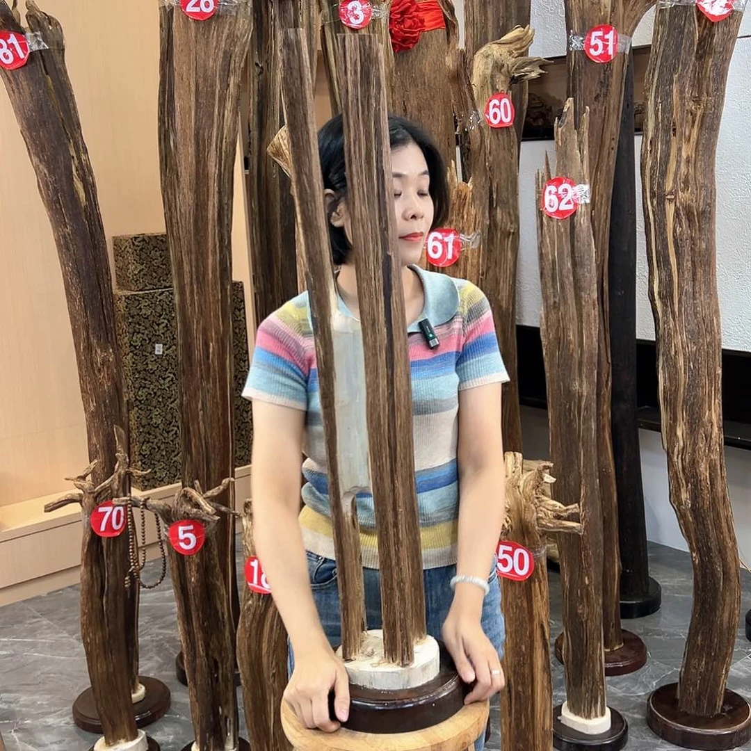 沉香摆件海南沉香原料摆件