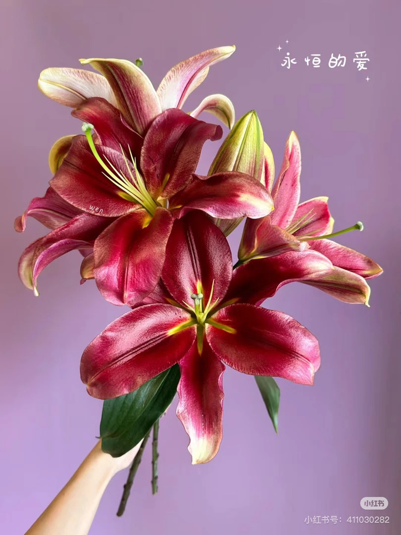 2号永恒的爱百合，3头巨包，我要买我不售后