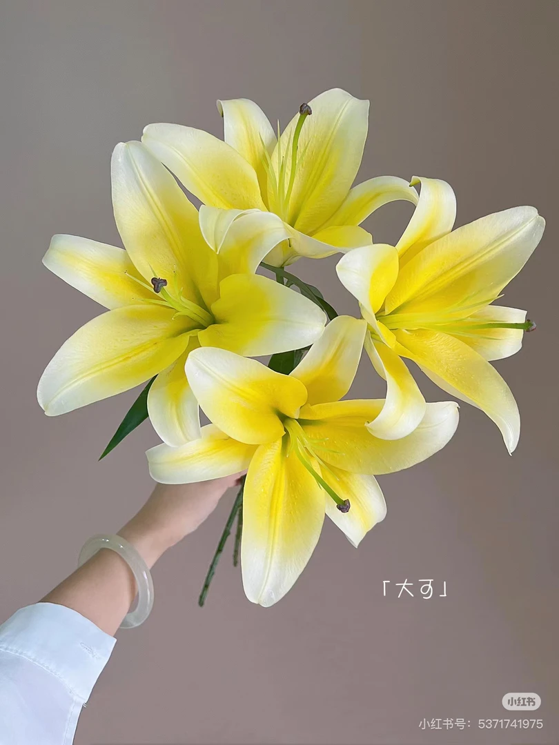 8号木门百合3头，我要买我就要买但是我不售后