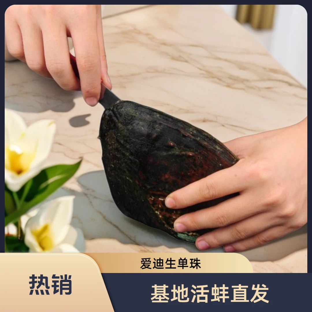 优质淡水养殖爱迪生鲜活珍珠蚌基地直发