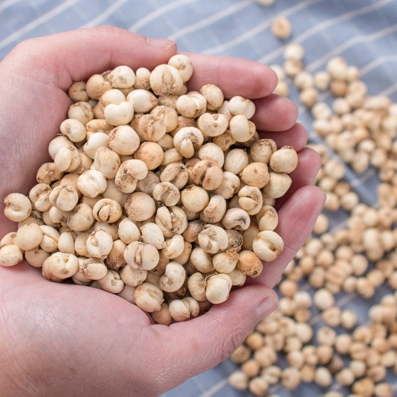 【小鑫收山货】云南土特产山货源头无熏硫川贝食用营养滋补品