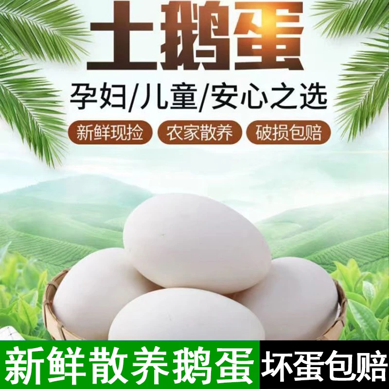 【丫丫】现捡现发新鲜土鹅蛋一箱12枚单枚重110-160g