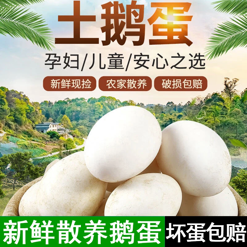 【店长推荐】现捡现发新鲜土鹅蛋一箱12枚单枚重120g左右