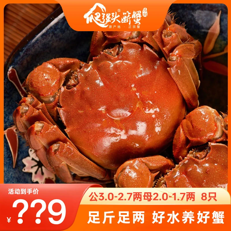 【活蟹】江苏正宗溱湖蟹大闸蟹公3.0-2.7两母2-1.7两6对 WRT