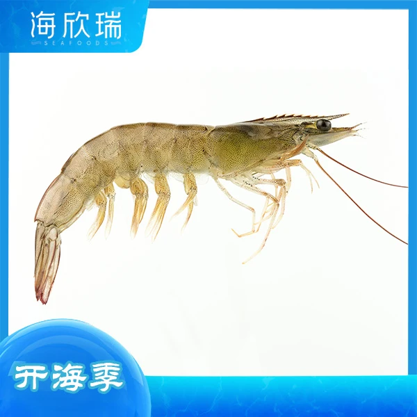 冰鲜基围虾(500g)【好东西】
