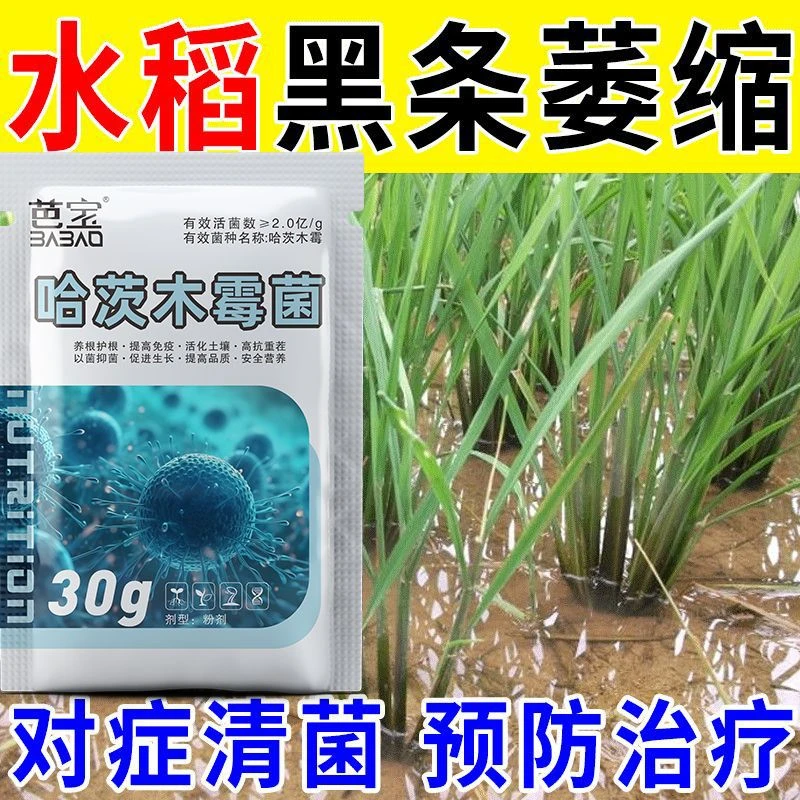 水稻病害全治稻瘟病纹枯病专用药苗床防病药白叶枯病稻曲病颗粒